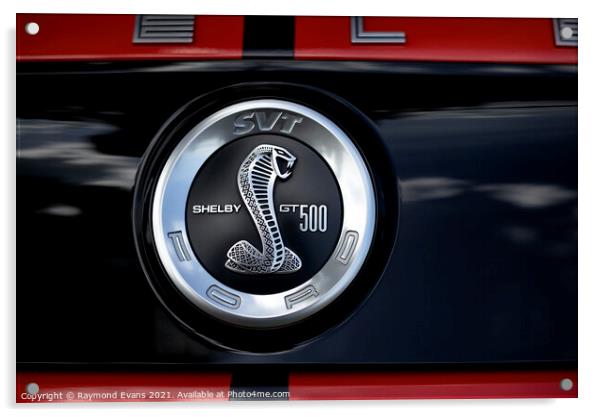 Shelby GT500 Mustang Acrylic by Raymond Evans