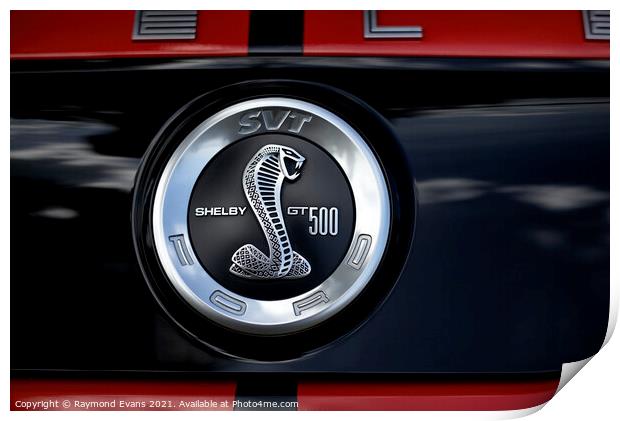 Shelby GT500 Mustang Print by Raymond Evans
