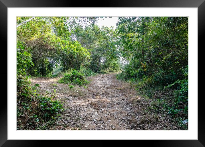 Hill pathway Framed Mounted Print by Lucas D'Souza