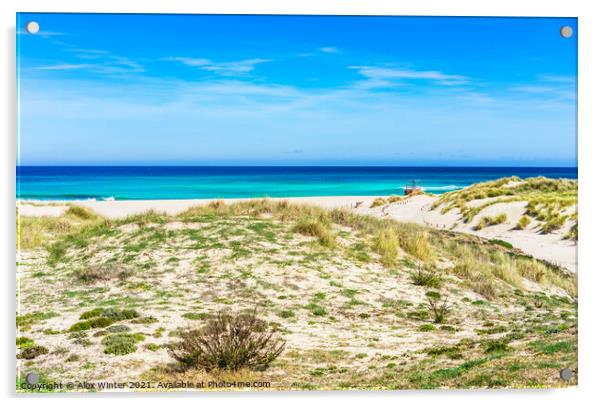 Beautiful dunes landscape on Mallorca Spain Acrylic by Alex Winter