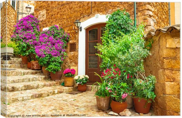 Beautiful flowers street in old village Fornalutx Canvas Print by Alex Winter