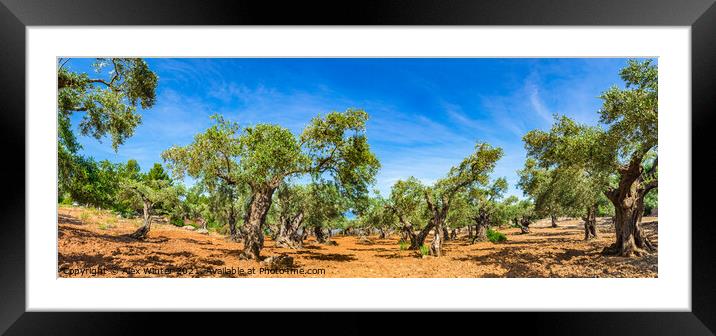 Plant tree, Bountiful Harvest Framed Mounted Print by Alex Winter