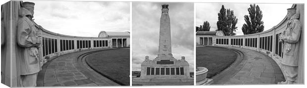 Chatham War Memorial tripitch Canvas Print by David French