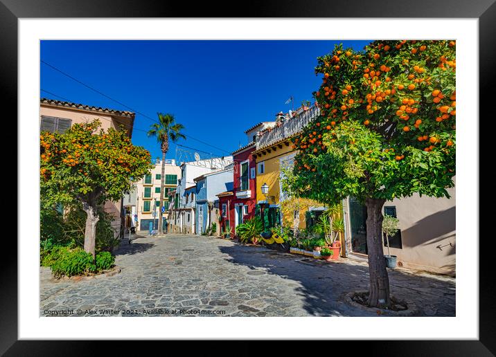 Spain Palma de Mallorca view of colorful houses Framed Mounted Print by Alex Winter