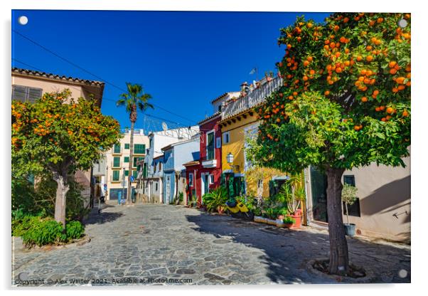 Spain Palma de Mallorca view of colorful houses Acrylic by Alex Winter