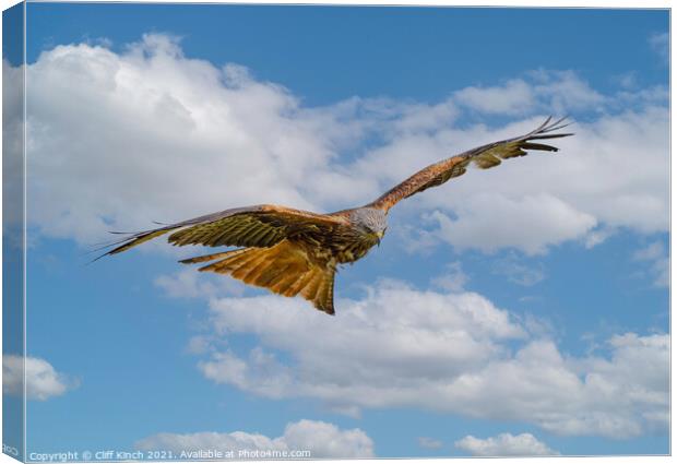 Majestic Red Kite Glides Through the Clouds Canvas Print by Cliff Kinch