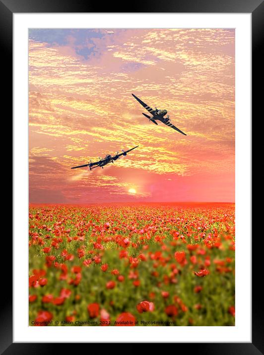 Lancaster and Dakota over Poppy Field Framed Mounted Print by Alison Chambers