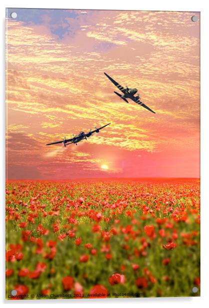 Lancaster and Dakota over Poppy Field Acrylic by Alison Chambers