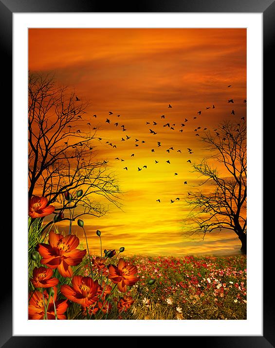 Orange Meadow Framed Mounted Print by Julie Hoddinott