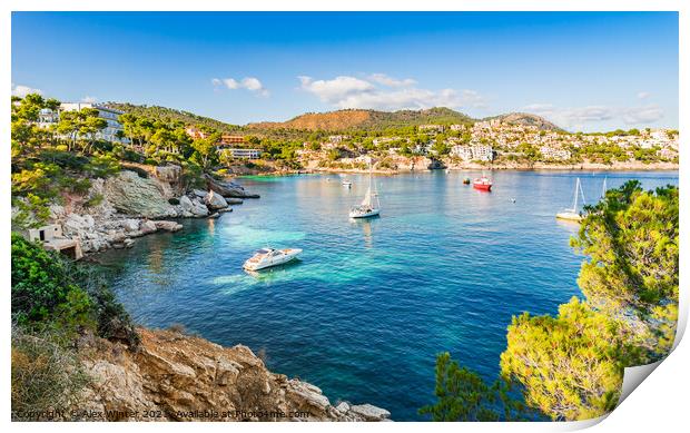 Panorama view with boats at Cala Fornells Mallorca Print by Alex Winter