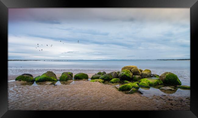 Rocks, Alnmouth Beach Framed Print by Mark Jones