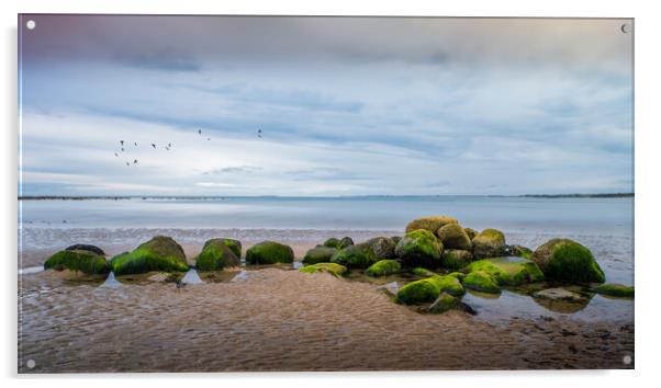 Rocks, Alnmouth Beach Acrylic by Mark Jones