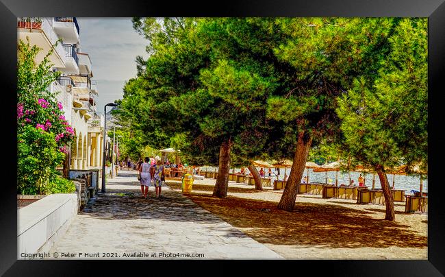Strolling Along The Pine Walk Puerto Pollensa Framed Print by Peter F Hunt