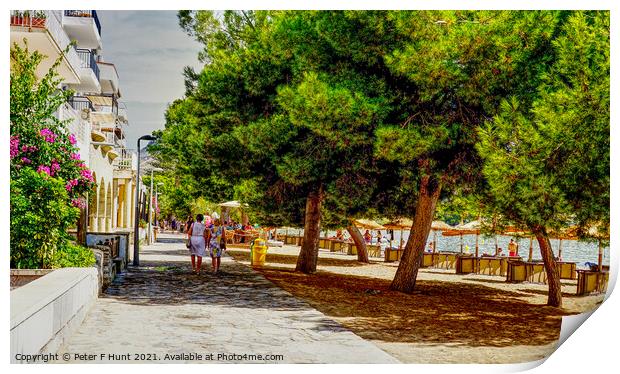 Strolling Along The Pine Walk Puerto Pollensa Print by Peter F Hunt