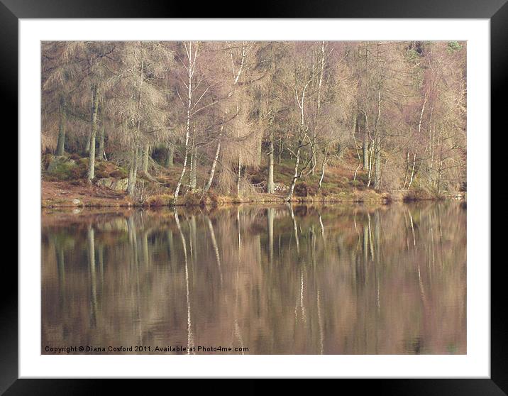 Reflections, Cumbria Framed Mounted Print by DEE- Diana Cosford