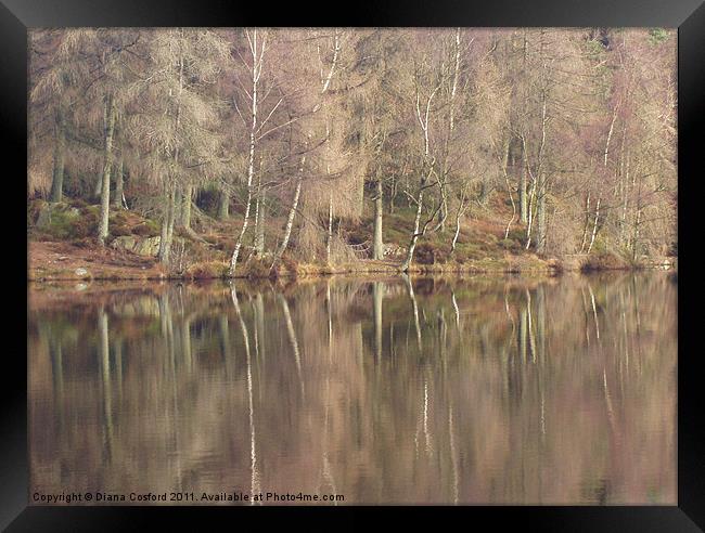 Reflections, Cumbria Framed Print by DEE- Diana Cosford