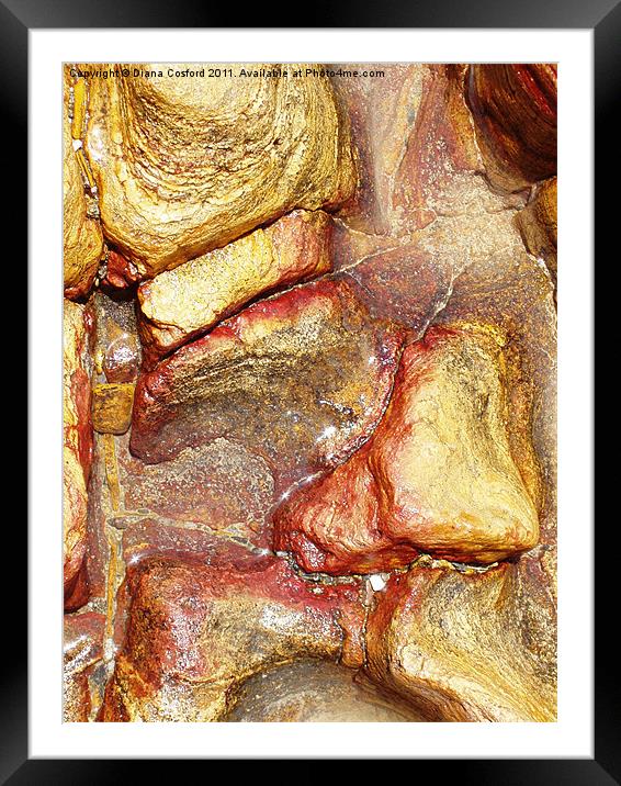 Sea Shore, paving, wet rocks Framed Mounted Print by DEE- Diana Cosford