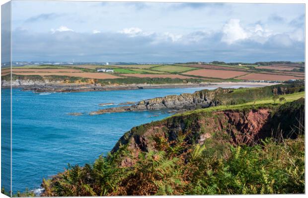Angle Bay in Pembrokeshire Canvas Print by Tracey Turner