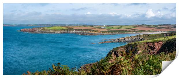 Angle Bay, Stunning Panoramic View Print by Tracey Turner