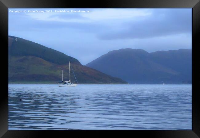 Early Morning sail Framed Print by Aimie Burley