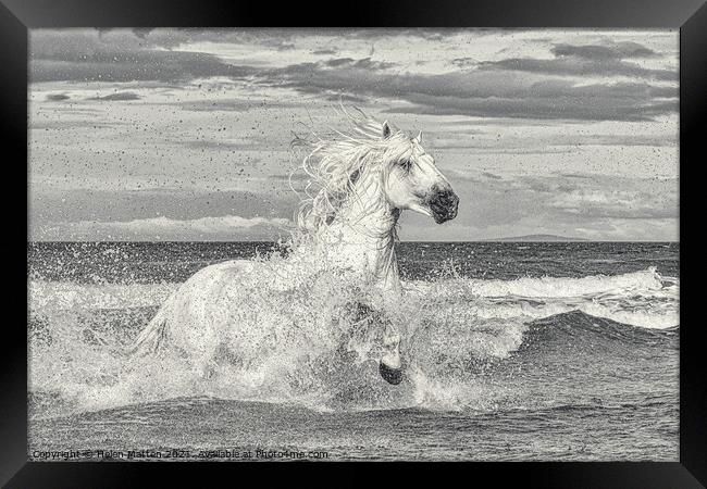 White Stallion in the Sea Framed Print by Helkoryo Photography
