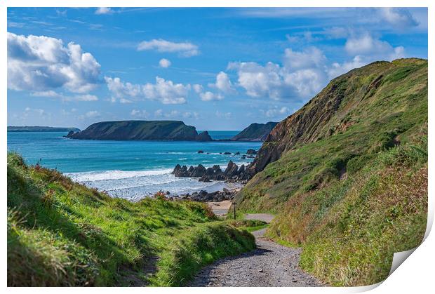 The path to Marloes Sands in Pembrokeshire  Print by Tracey Turner