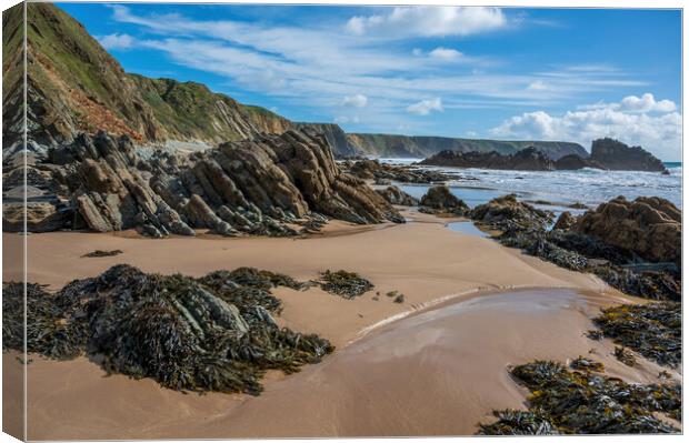 Marvellous Marloes in Beautiful Pembrokeshire Canvas Print by Tracey Turner