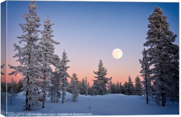 Moon rising, winter landscape Canvas Print by Delphimages Art