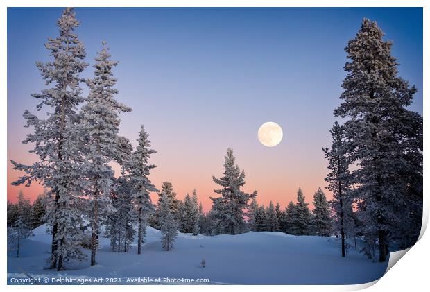 Moon rising, winter landscape Print by Delphimages Art