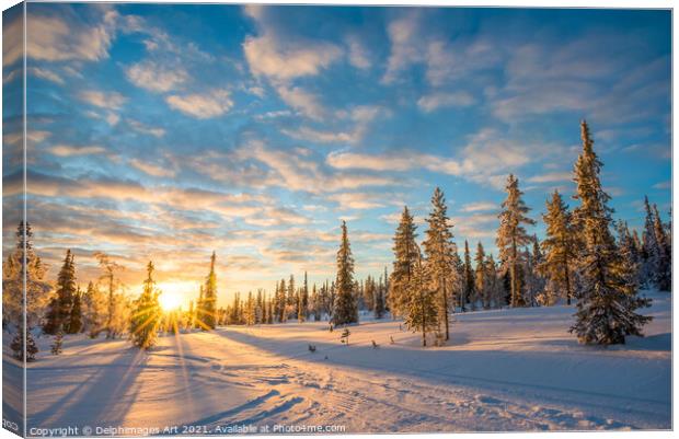 Winter sunset, snowy landscape in Lapland Canvas Print by Delphimages Art