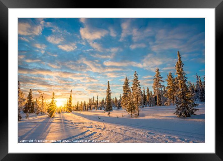 Winter sunset, snowy landscape in Lapland Framed Mounted Print by Delphimages Art