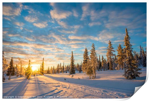 Winter sunset, snowy landscape in Lapland Print by Delphimages Art