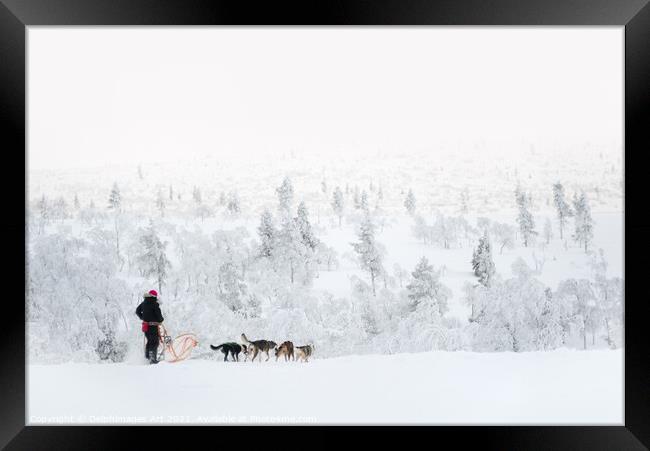 Husky safari, dog sledding in winter Framed Print by Delphimages Art
