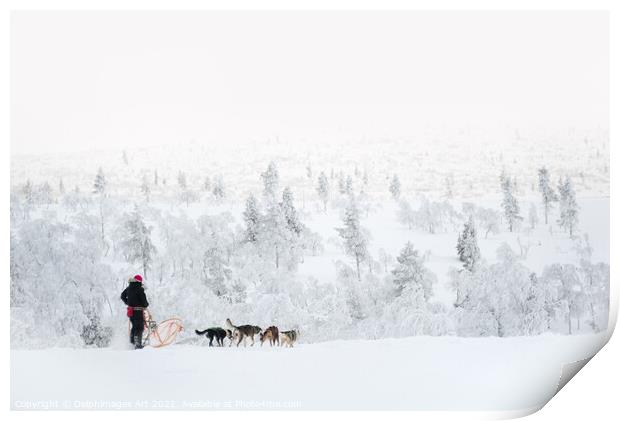 Husky safari, dog sledding in winter Print by Delphimages Art