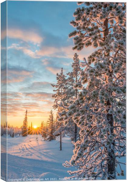 Winter landscape at sunset in Lapland Canvas Print by Delphimages Art