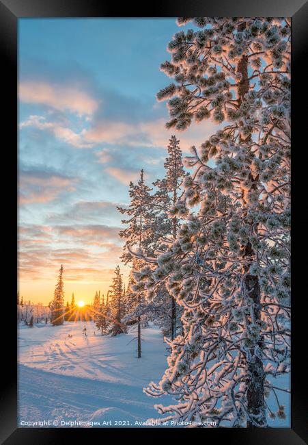 Winter landscape at sunset in Lapland Framed Print by Delphimages Art