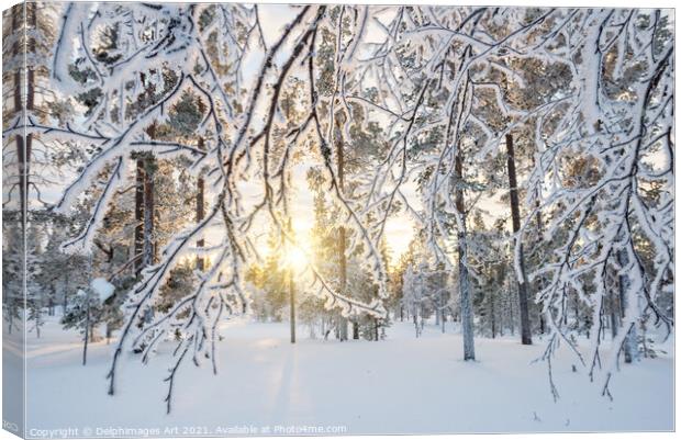 Lapland winter landscape. Sun and frozen trees Canvas Print by Delphimages Art