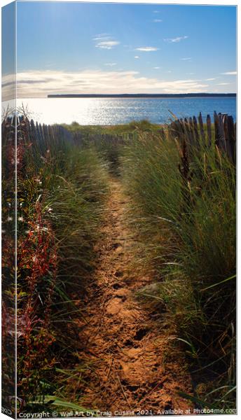 The Path to The Beach Canvas Print by Wall Art by Craig Cusins