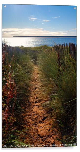 The Path to The Beach Acrylic by Wall Art by Craig Cusins