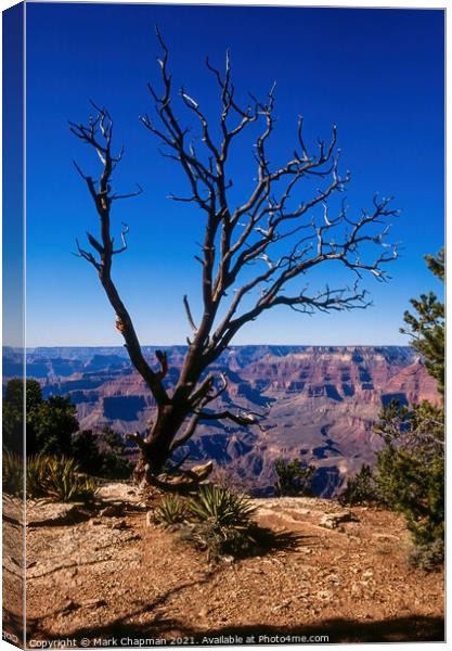 Grand Canyon view Canvas Print by Photimageon UK