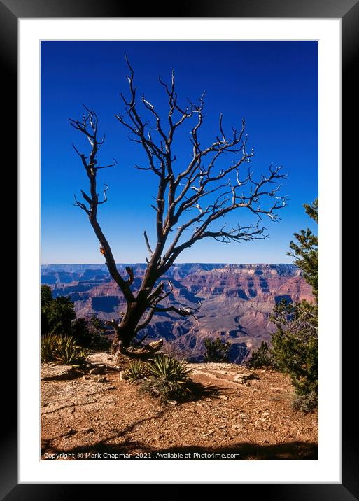 Grand Canyon view Framed Mounted Print by Photimageon UK
