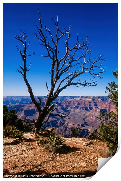 Grand Canyon view Print by Photimageon UK