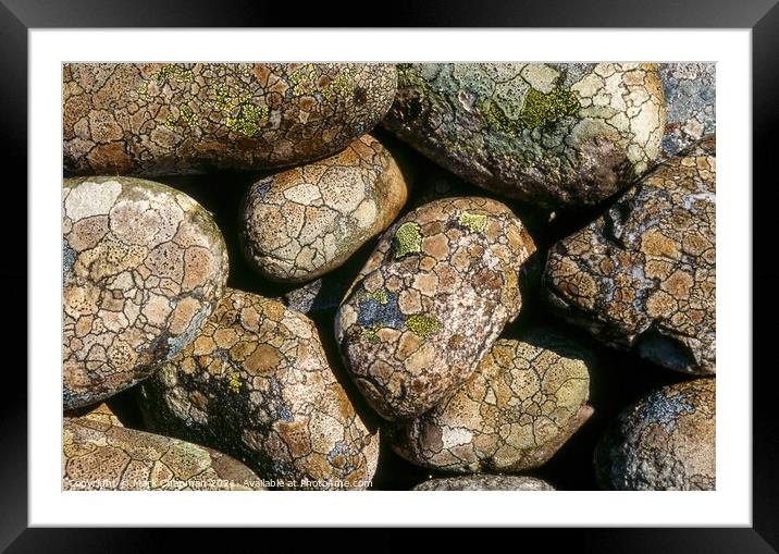 Lichen covered beach pebbles, Colonsay Framed Mounted Print by Photimageon UK