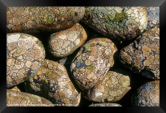 Lichen covered beach pebbles, Colonsay Framed Print by Photimageon UK
