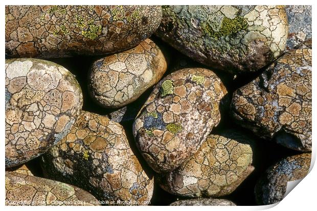 Lichen covered beach pebbles, Colonsay Print by Photimageon UK