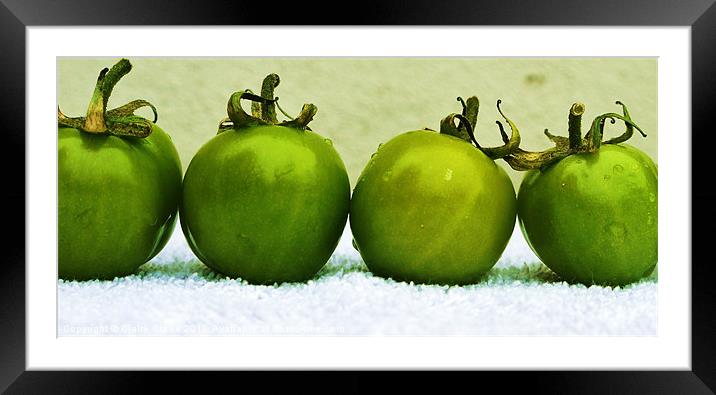 Toned Tomatoes Framed Mounted Print by Claire Clarke