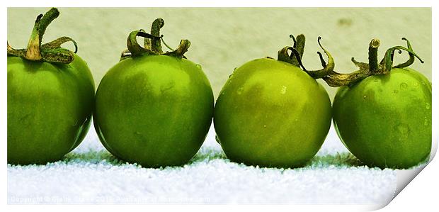 Toned Tomatoes Print by Claire Clarke