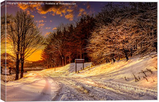  Snowy Sunrise Canvas Print by Nigel Hatton