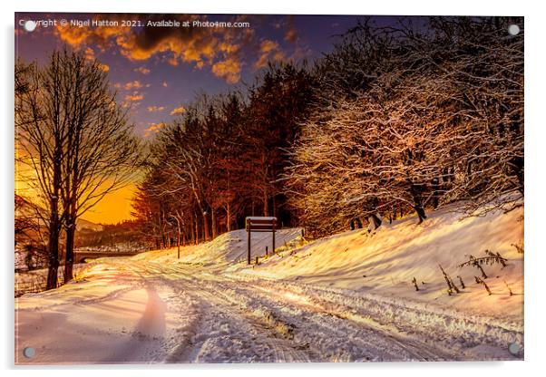  Snowy Sunrise Acrylic by Nigel Hatton