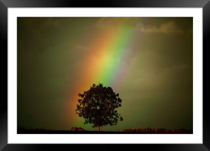 Rainbow tree Framed Mounted Print by Simon Johnson